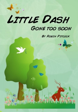Little Dash