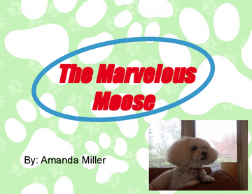 The Marvelous Moose
