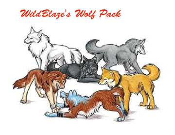 WildBlaze's Wolf Pack