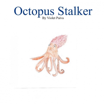 Octopus Stalker