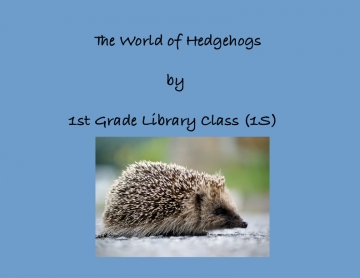 The World of  Hedgehogs