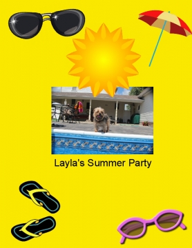 Layla's Summer Party