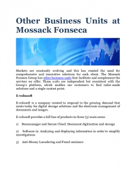 Other Business Units at Mossack Fonseca