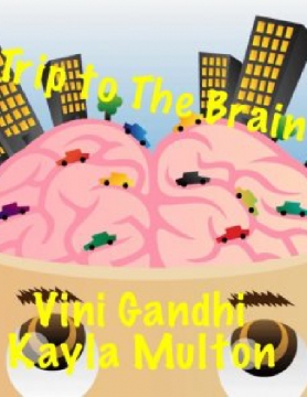 Trip to the Brain