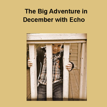 The Big Adventure in December with Echo