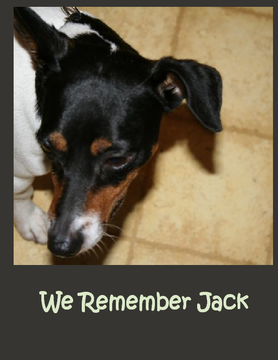 We Remember Jack