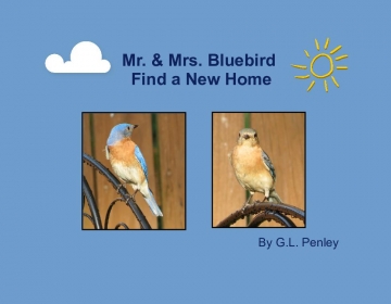 Mr. & Mrs. Bluebird Find a New Home
