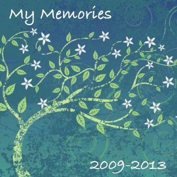 2009-2013 MEMORIES