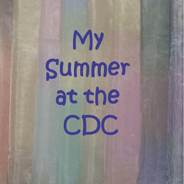 Summer at the CDC 2013
