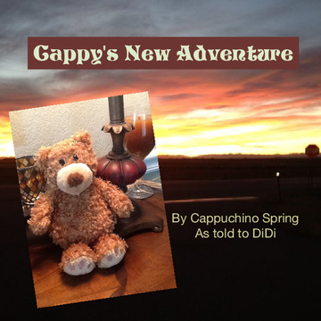 Cappy's New Adventure
