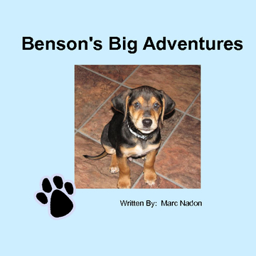 Benson's Big Adventure