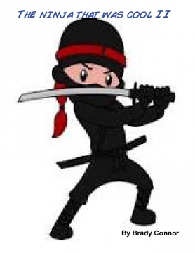 The ninja that was cool II