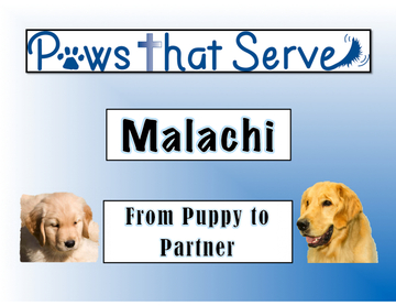Malachi From Puppy to Partner