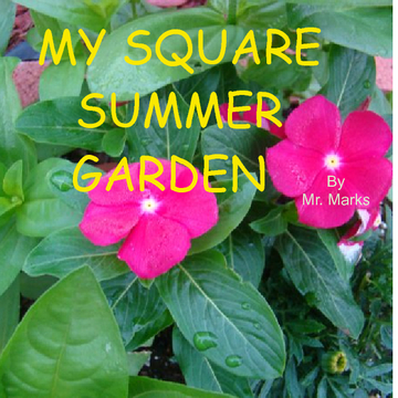 My Square Summer Garden