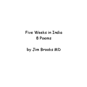 FIve Weeks in India