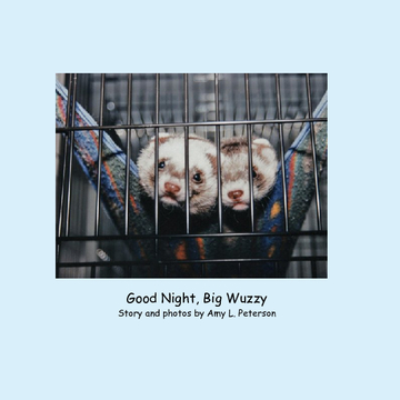 Good Night, Big Wuzzy