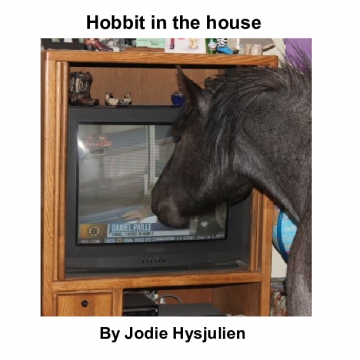 Hobbit in the house