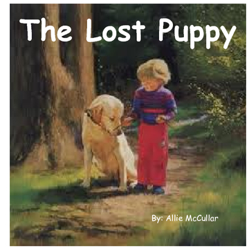 the lost puppy
