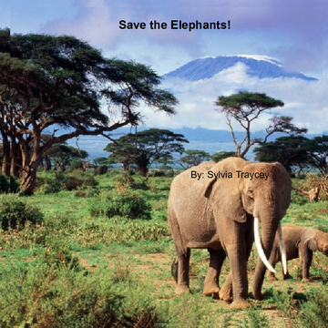 Save The Elephants!