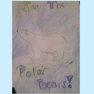 Save The Polar Bears
