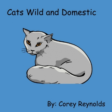 Cats Wild And Domestic