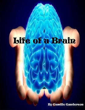 Life of a Brain