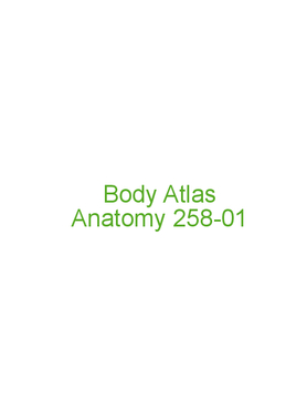 Body atlas
