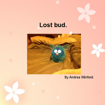 Lost old bud.