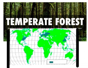 Biomes temperate forest