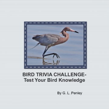 BIRDS TRIVIA CHALLENGE