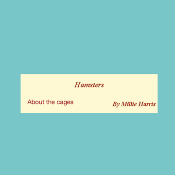 Hamsters : about the cages