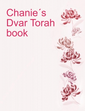 Chanie D'var Torah Book