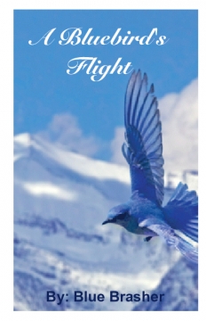 A Bluebird's Flight
