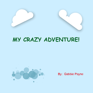 My Crazy Adventure!