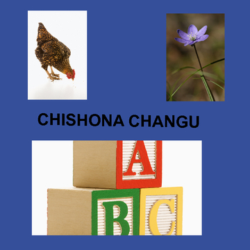 CHISHONA CHANGU