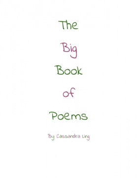 The Big Book of Poems