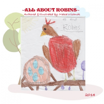 All About Robins