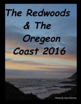 The Redwoods & Oregon Coast 2016