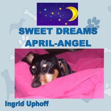 Sweet Dreams April-Angel