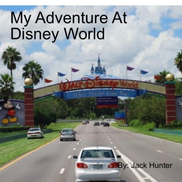 My Adventure At Disney World