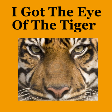 I Got The Eye Of The Tiger