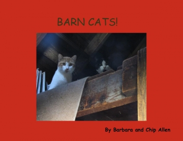 Barn Cats!