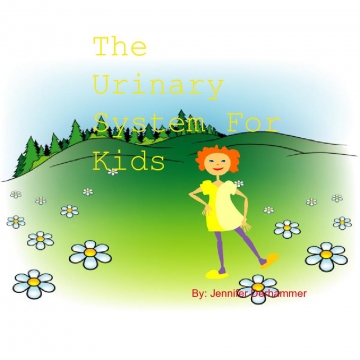 The Urinary System  For Kids