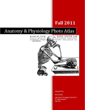 Anatomy and Physiology Photo Atlas