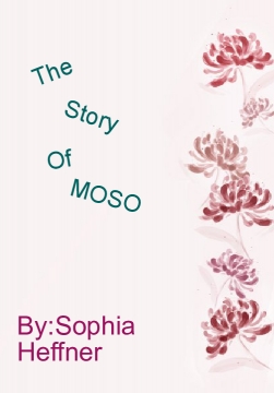 The Amazing Adventures of MOSO