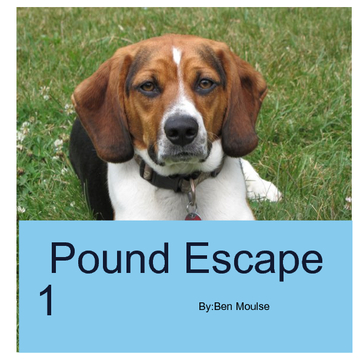 Pound Escape 1
