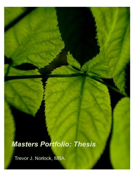 Masters Portfolio: Thesis