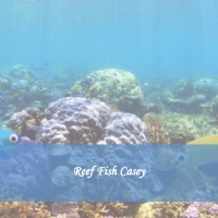 Reef Fish Casey
