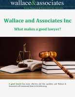 What makes a good lawyer?