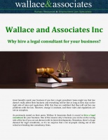 Wallace and Associates Inc